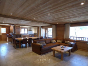 Superbe 5 pièces rénové avec sauna, hammam, jacuzzi, proche télécabines et village, idéal 12/14 pers. - FR-1-458-101
